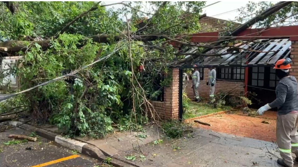 Imagem Últimas Notícias