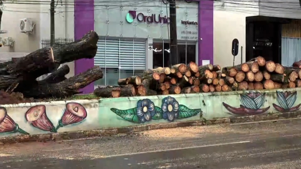Imagem Últimas Notícias