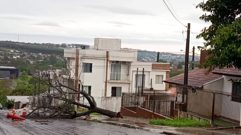 Imagem Últimas Notícias