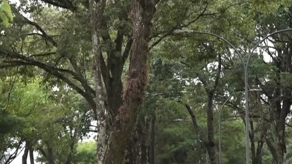 Imagem Últimas Notícias