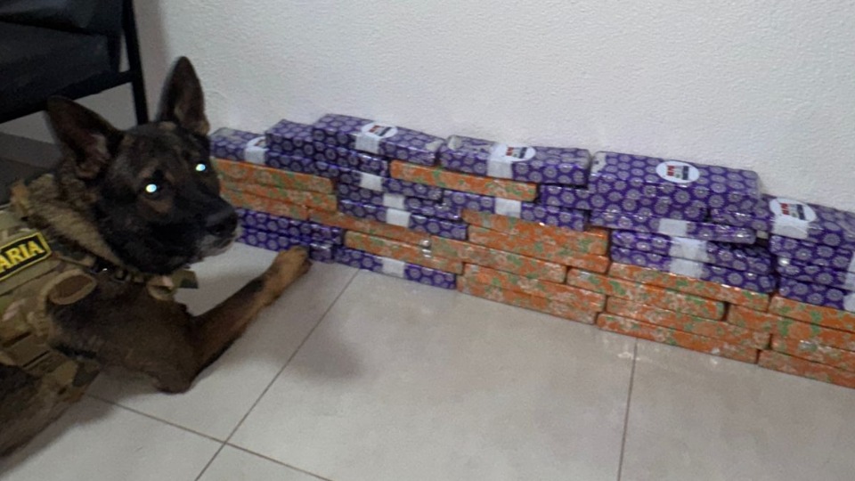 Imagem Últimas Notícias