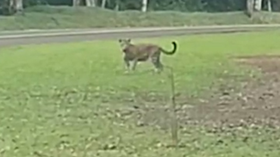 Imagem Últimas Notícias