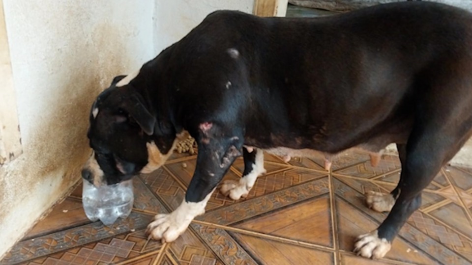 Imagem Últimas Notícias