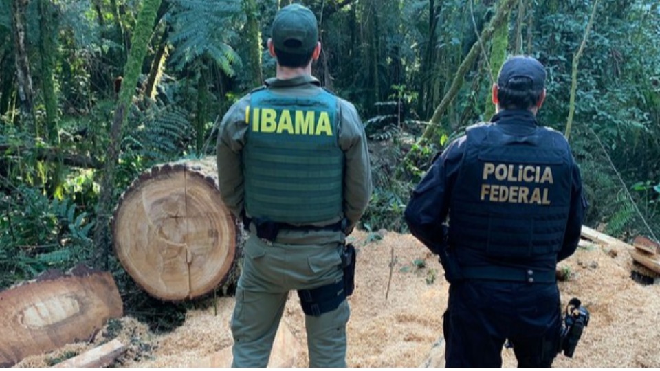 Imagem de Capa