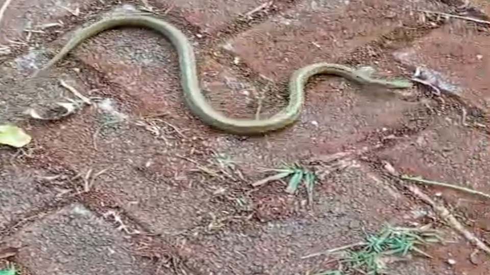 Imagem Últimas Notícias