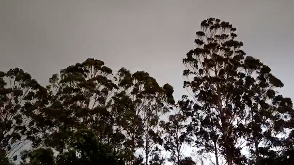 Imagem Últimas Notícias