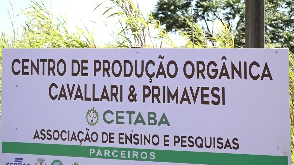 Imagem Últimas Notícias