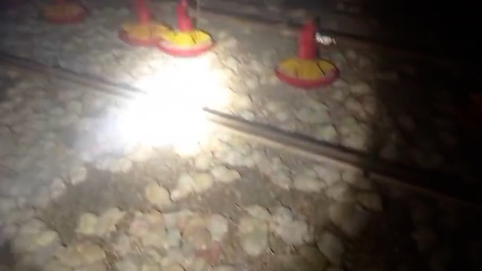 Imagem Últimas Notícias