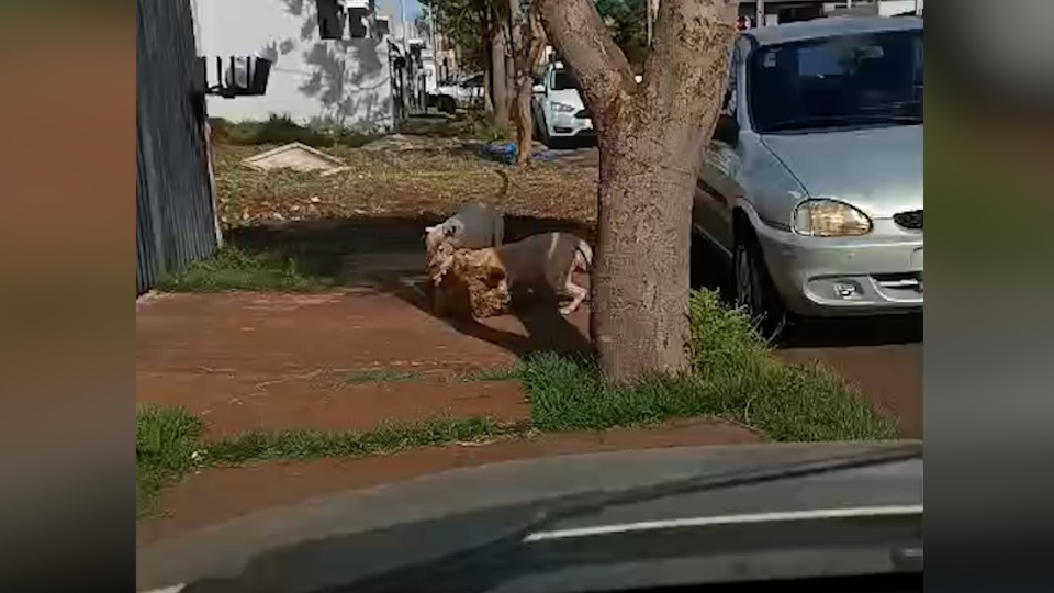 Imagem Últimas Notícias