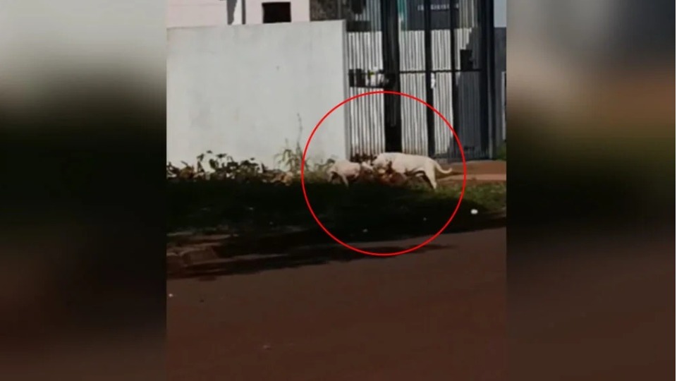 Imagem Últimas Notícias