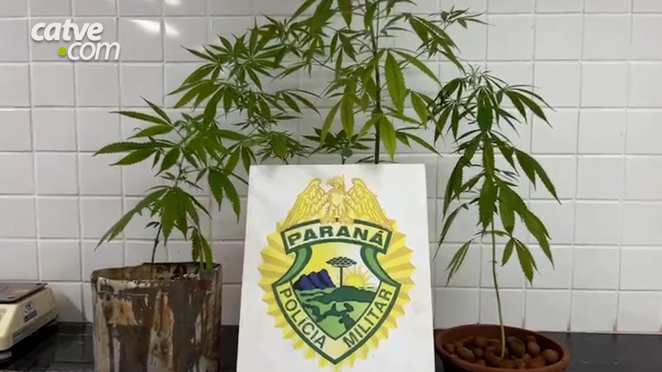 Imagem da Galeria