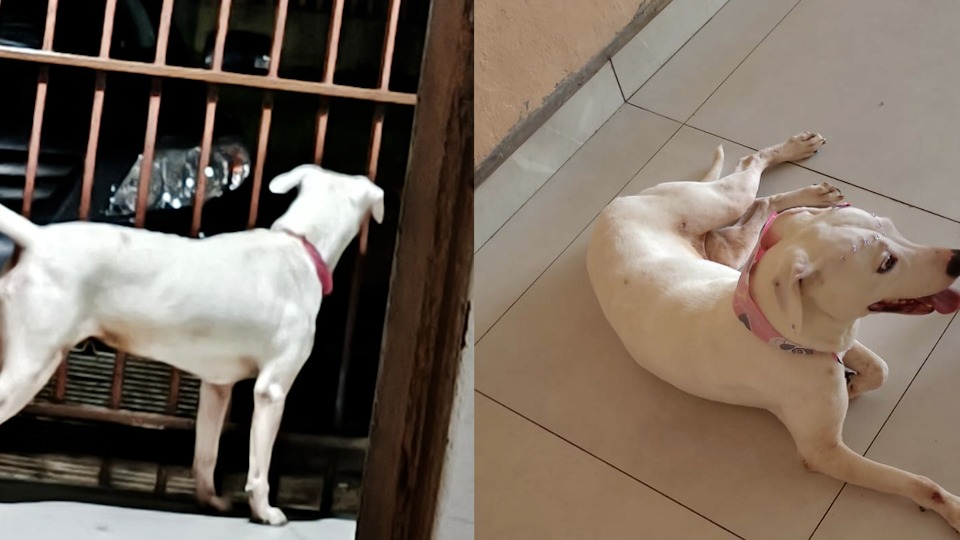 Imagem Últimas Notícias