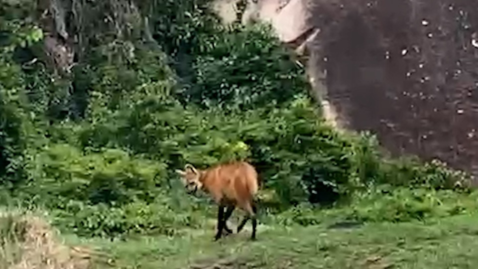 Imagem Últimas Notícias