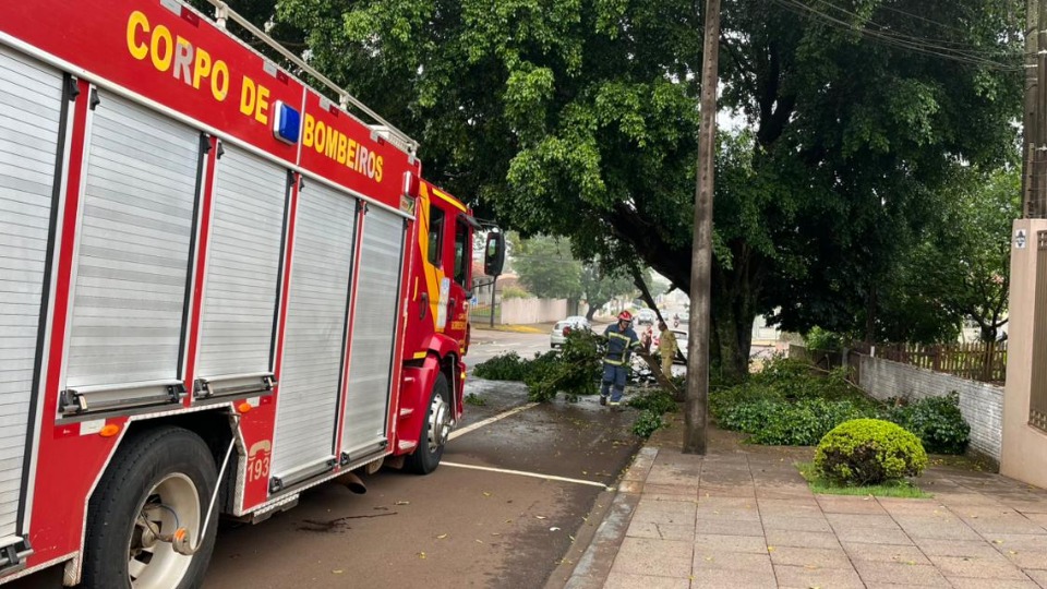 Imagem Últimas Notícias