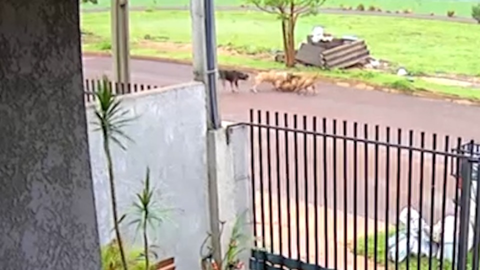 Imagem Últimas Notícias