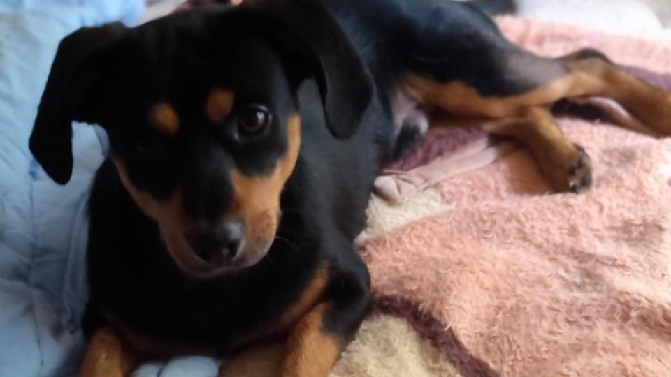 Imagem Últimas Notícias