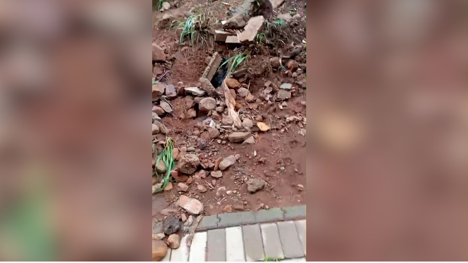 Imagem Últimas Notícias