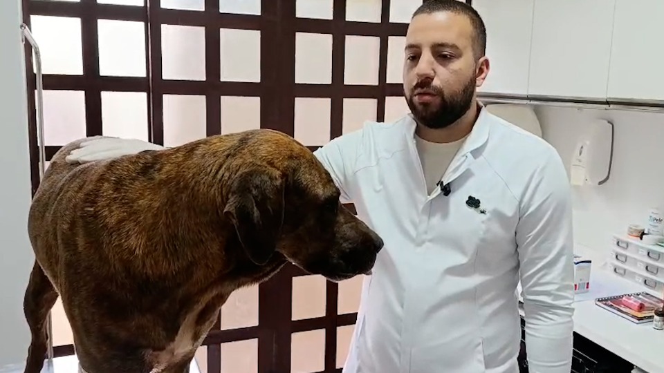 Imagem Últimas Notícias