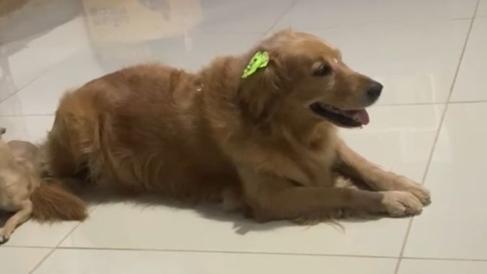 Imagem Últimas Notícias