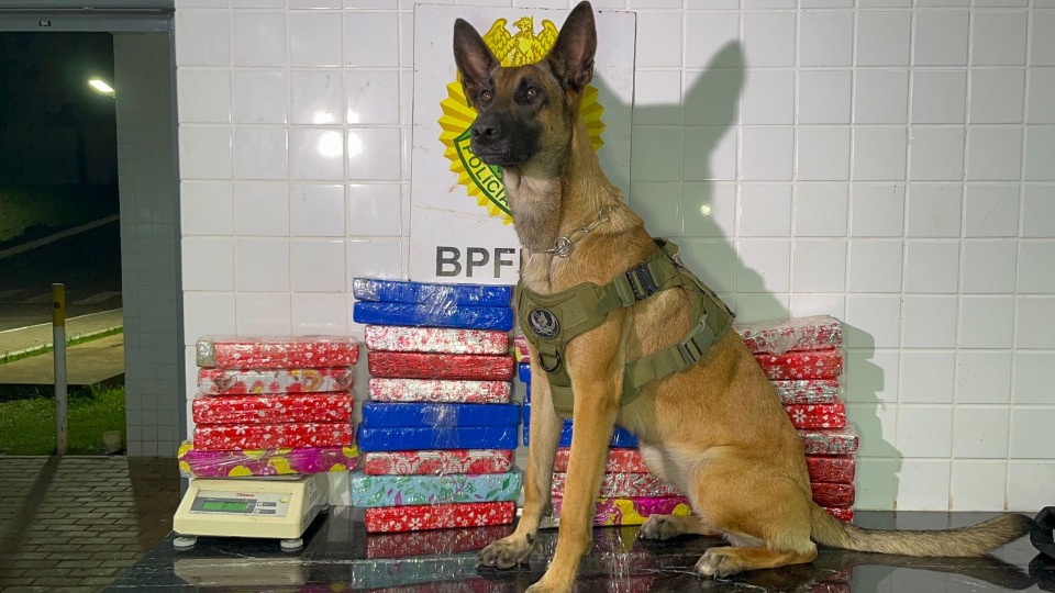 Imagem Últimas Notícias