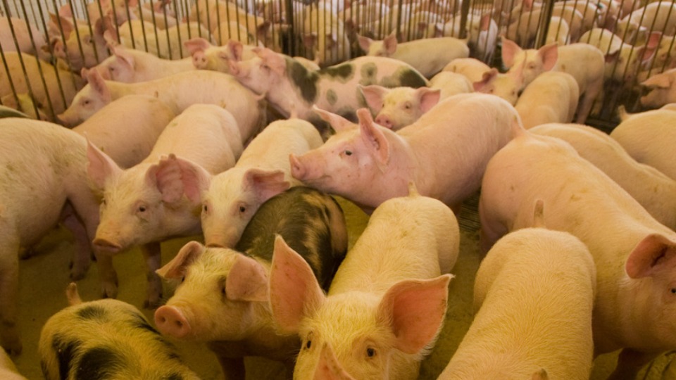 Imagem Últimas Notícias