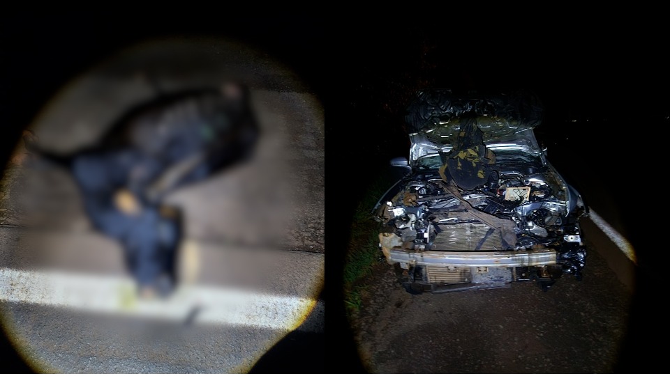 Imagem Últimas Notícias