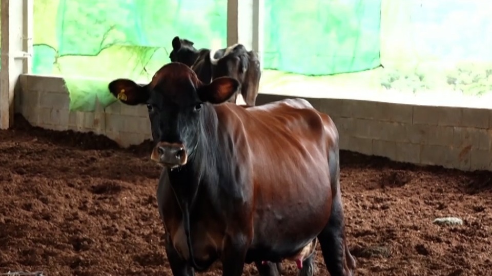 Imagem Últimas Notícias