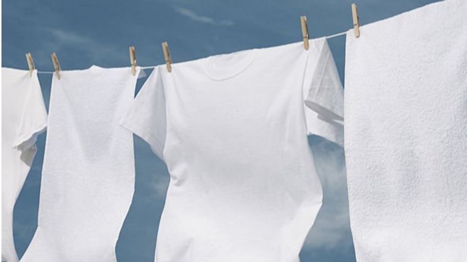 Imagem Últimas Notícias