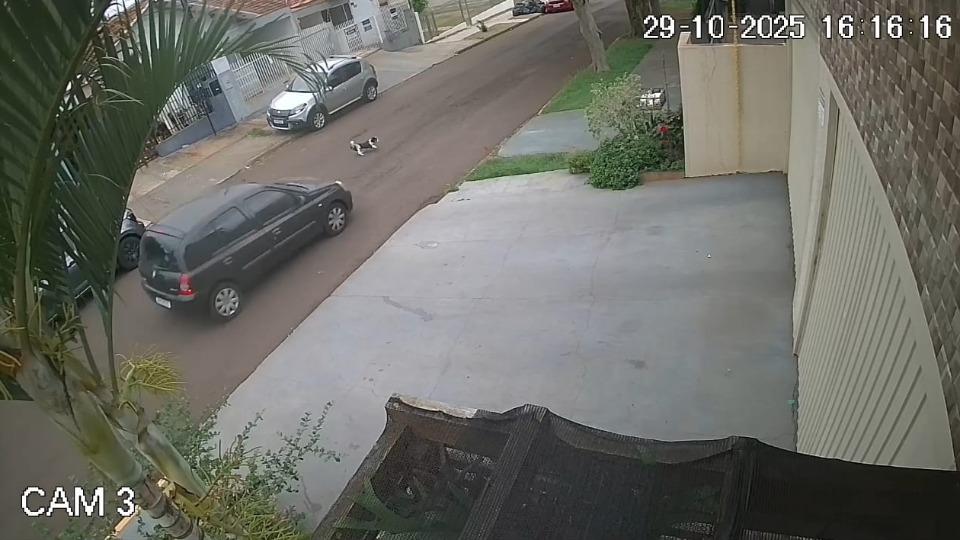 Imagem Últimas Notícias