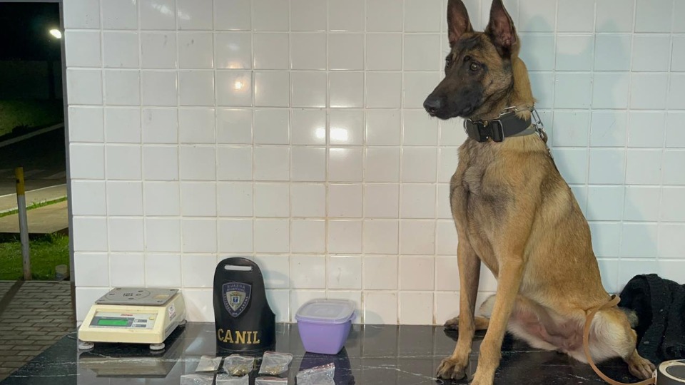 Imagem Últimas Notícias