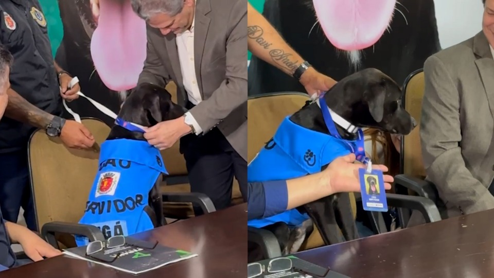 Imagem Últimas Notícias