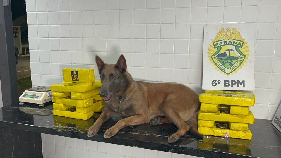 Imagem Últimas Notícias