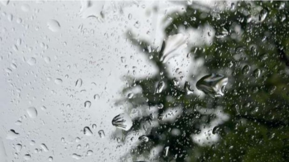 Imagem Últimas Notícias