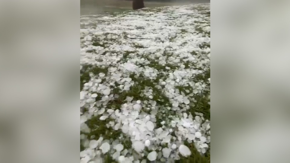 Imagem Últimas Notícias