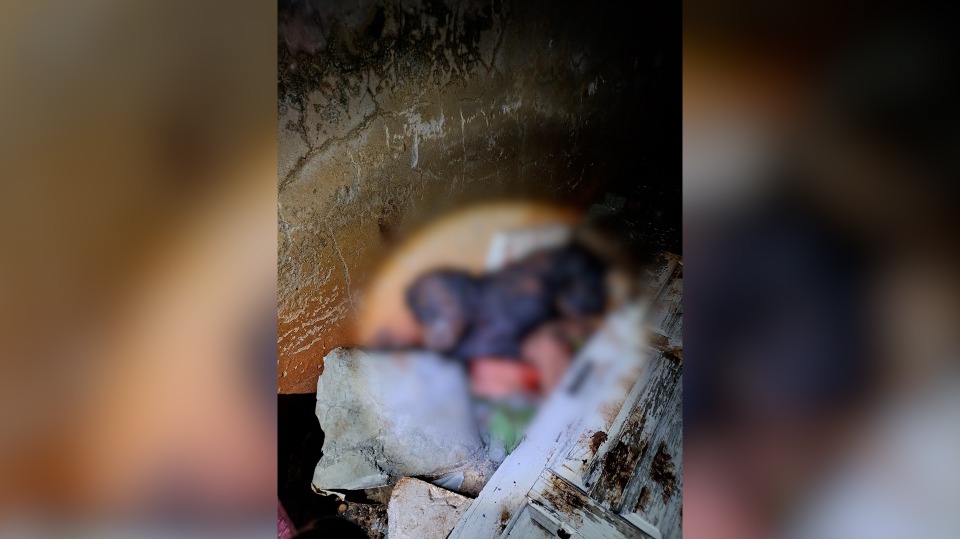 Imagem Últimas Notícias