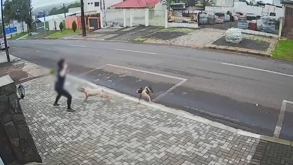 Imagem Últimas Notícias