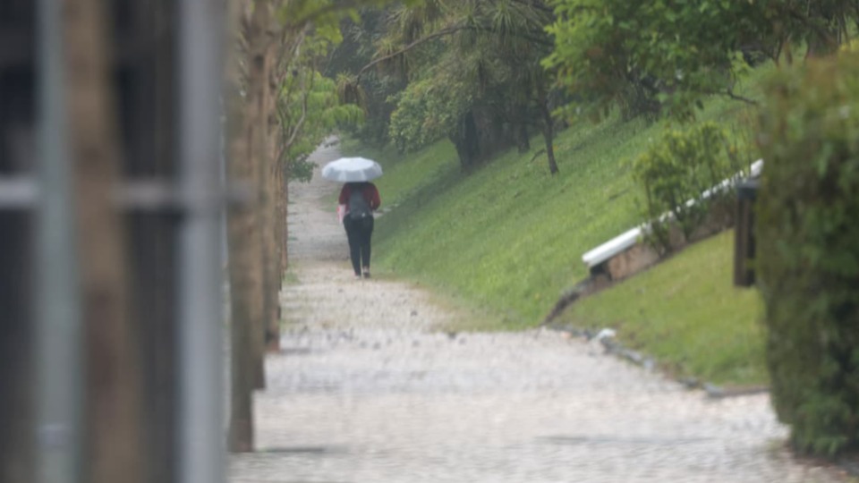 Imagem Últimas Notícias