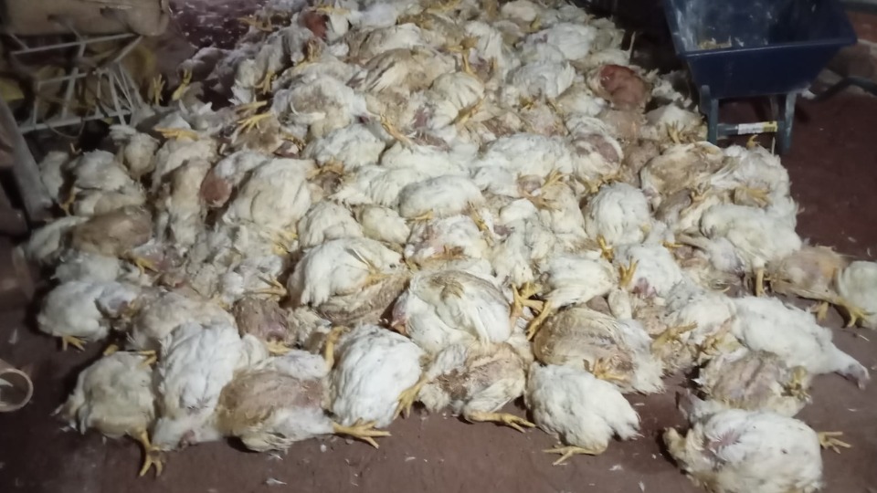 Imagem Últimas Notícias