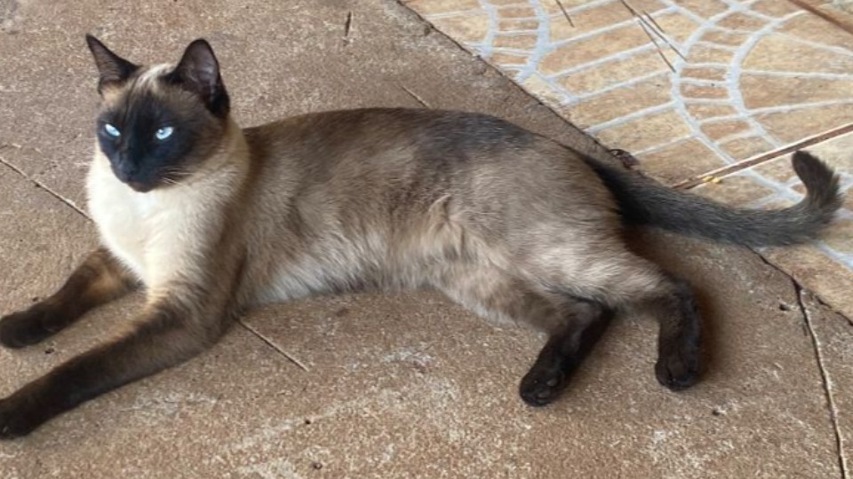 Imagem Últimas Notícias