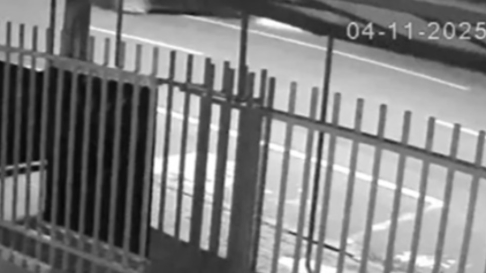 Imagem Últimas Notícias