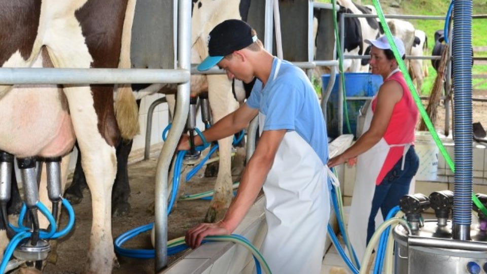 Imagem Últimas Notícias