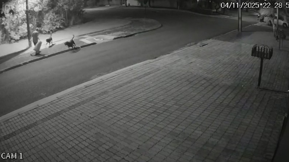 Imagem Últimas Notícias