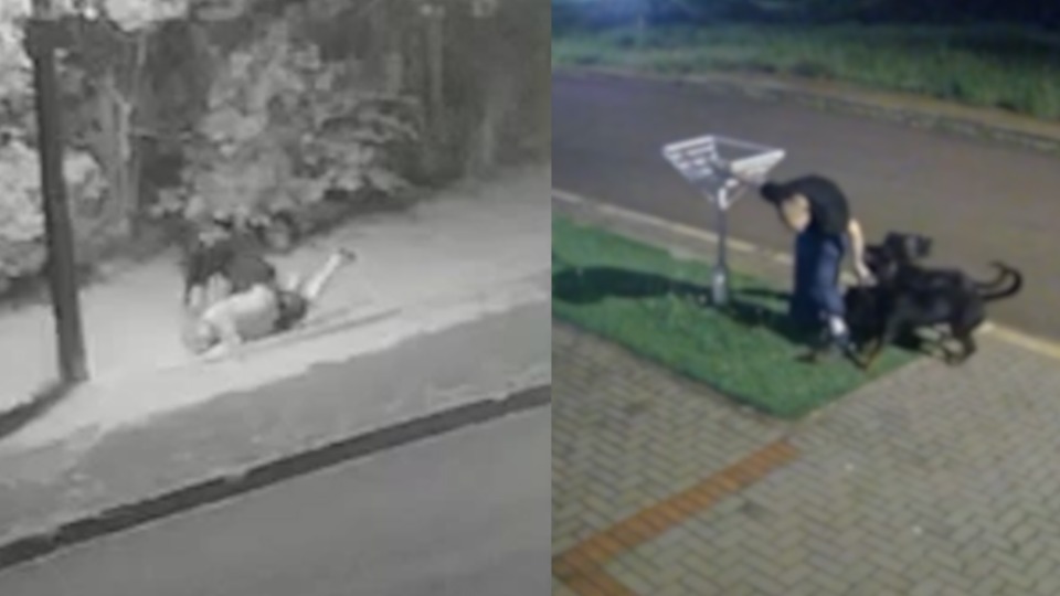 Imagem Últimas Notícias