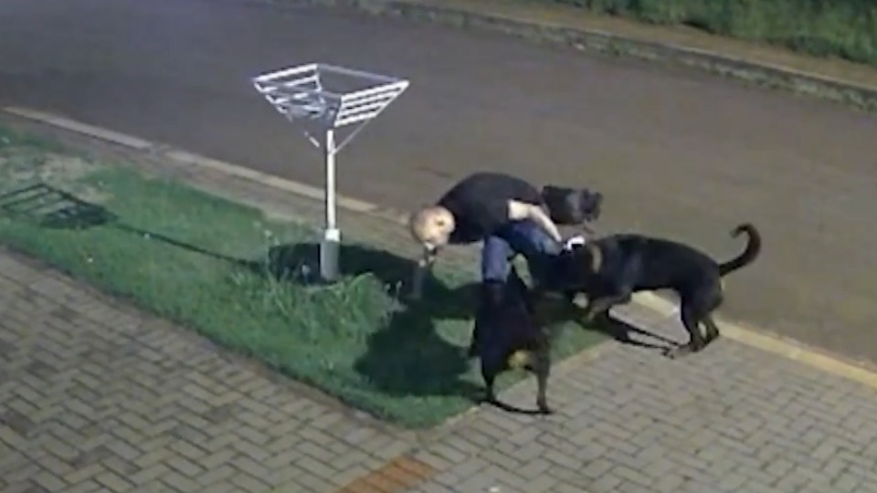 Imagem Últimas Notícias