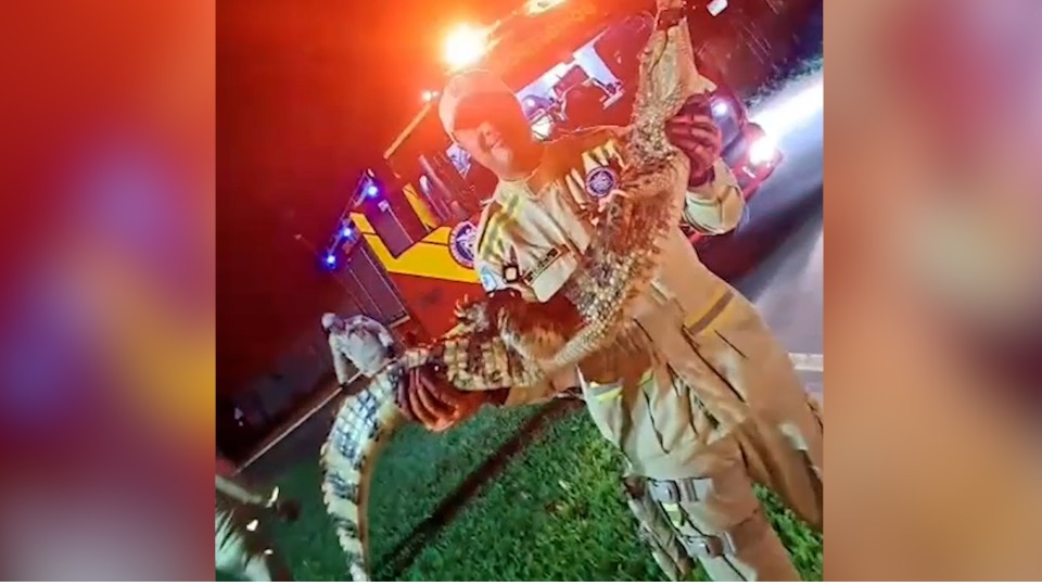 Imagem Últimas Notícias