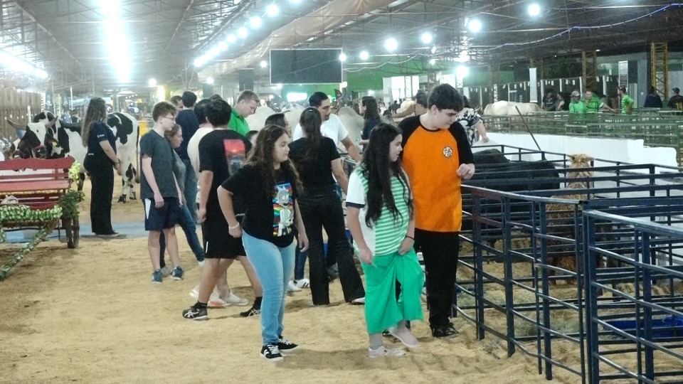 Imagem Últimas Notícias