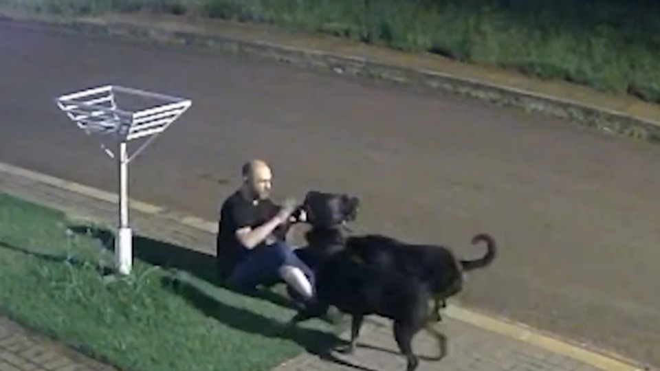 Imagem Últimas Notícias