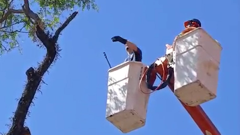 Imagem Últimas Notícias