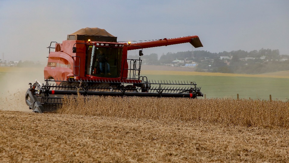 Imagem Últimas Notícias