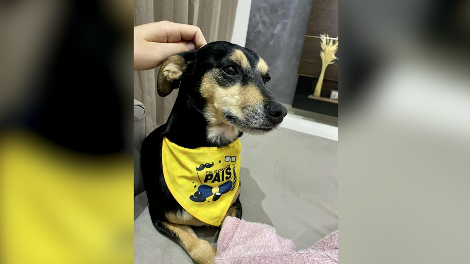 Imagem Últimas Notícias